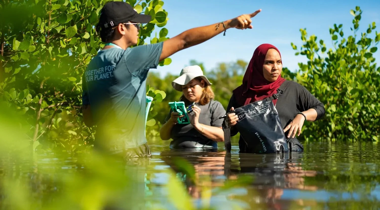 Field researchers sampling water in a mangrove forest